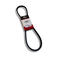 Power Steering Belt Patrol GQ TB42