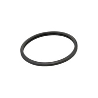 Thermostat O-Ring Landcruiser