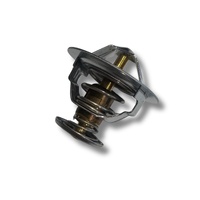 Thermostat Patrol GQ GU TD42