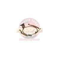 Synchro Spring 5th Gear Hilux KUN GGN Landcruiser HZJ79