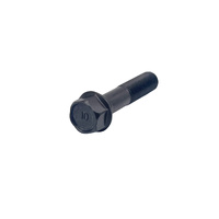 Rear Diff Bearing Cap Bolt Landcruiser 79 200