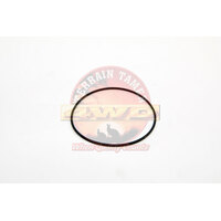 Rear Axle Oring Seal Patrol GQ GU