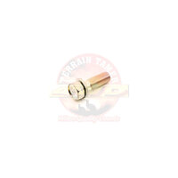 Swivel Hub Bearing Cap Bolt Landcruiser