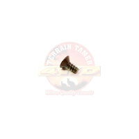 Front 1/4 Window Pivot Screw Hilux Landcruiser