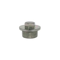 Drain Plug Front Diff Hilux KUN GGN GUN Landcruiser 200