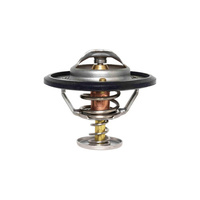 Thermostat Rodeo Colorado RC Dmax