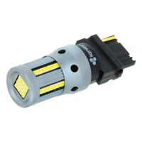 T25 White LED Globe PKT 2