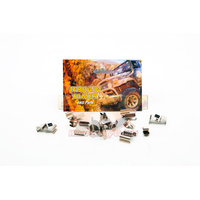 Rear Caliper Clip Kit Landcruiser