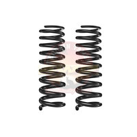 Front Smart Coil Springs Landcruiser 79 100kg+